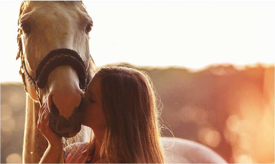 年轻女子亲吻她的马